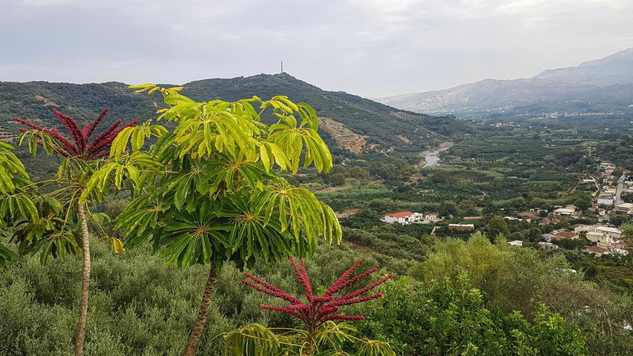 Villa Orgoni Patelári Kültér fotó